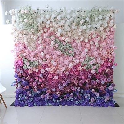 Mur de flors de rosa rosa